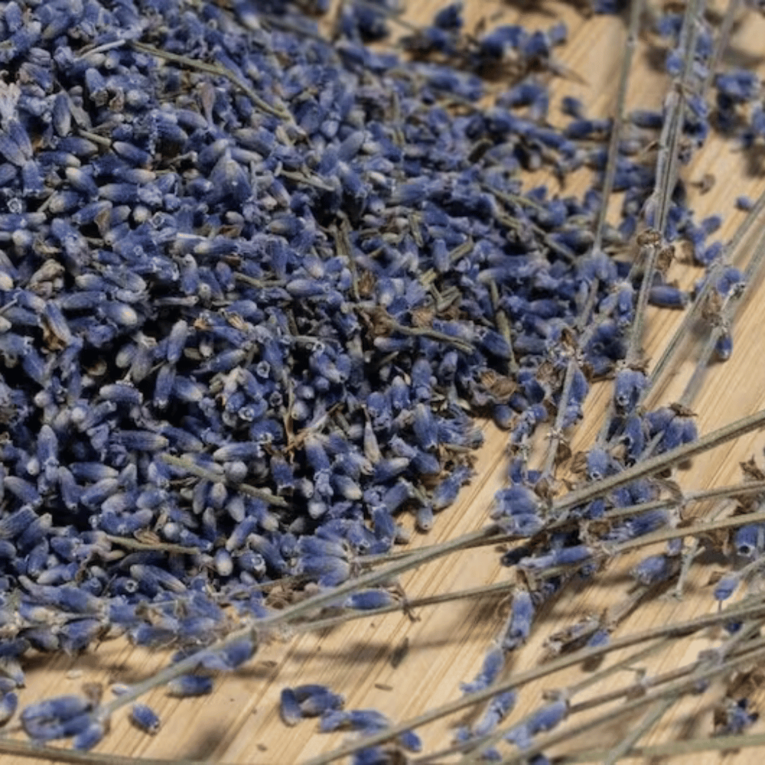 Lavender Herb 50g - Midnight Maker